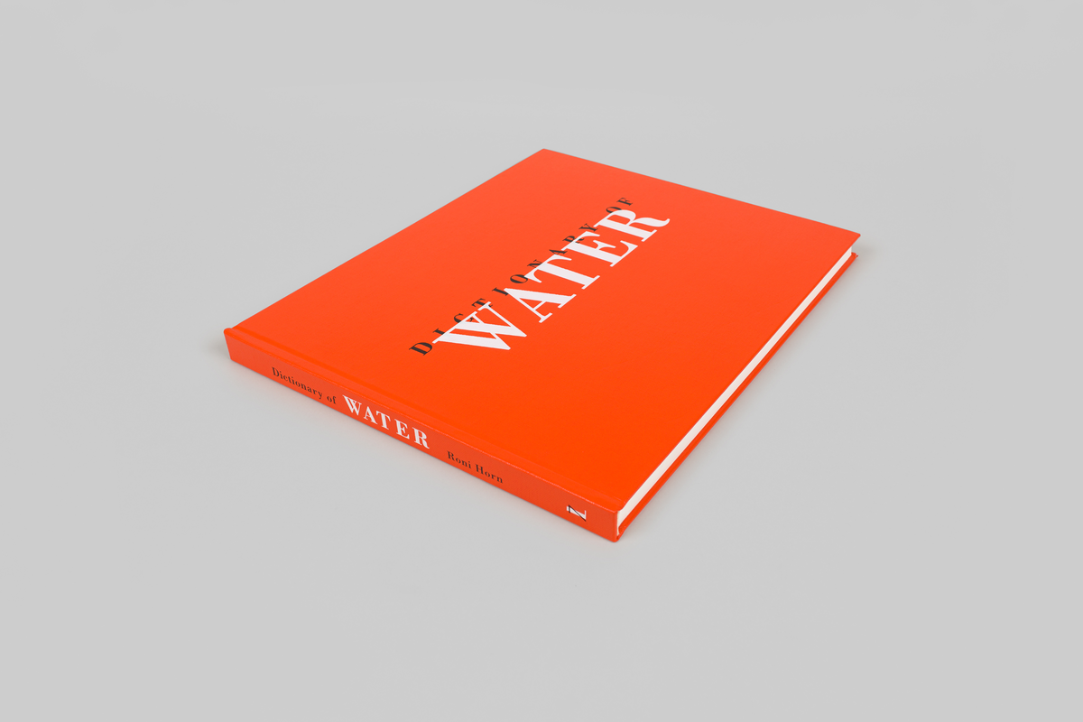 【期間限定】 Dictionary of Verlag Steidl - Horn Roni - water アート・デザイン・音楽